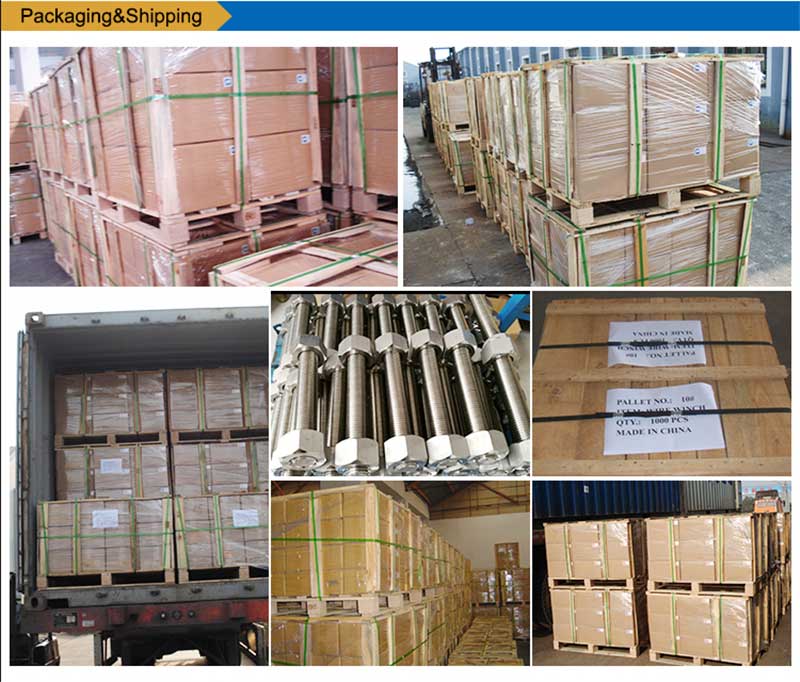 Pembungkusan Fastener-Steel-List-Bolts-Screw-Fastener